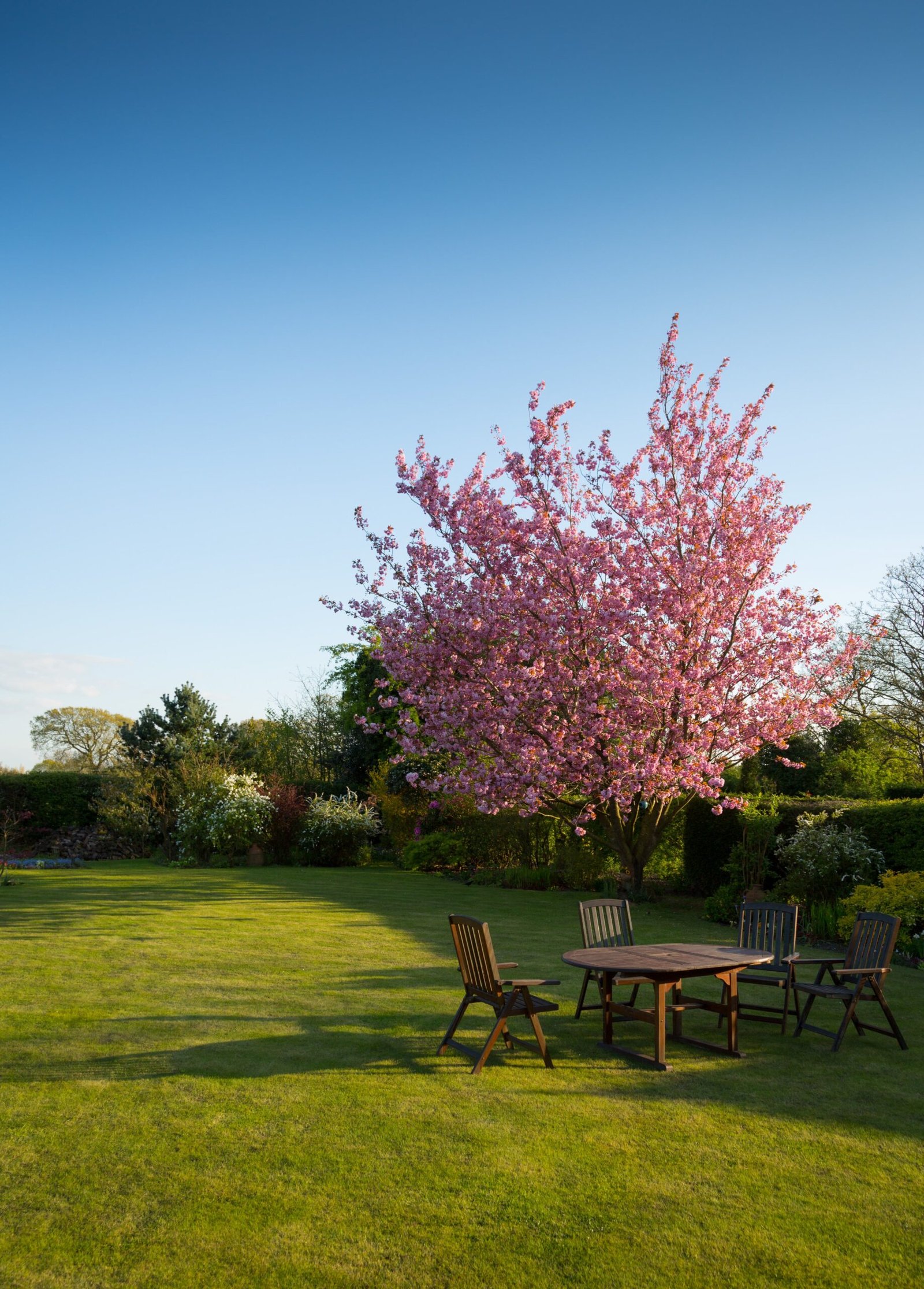 Can You Use An Electric Lawn Mower With An Attachment For Lawn Overseeding?